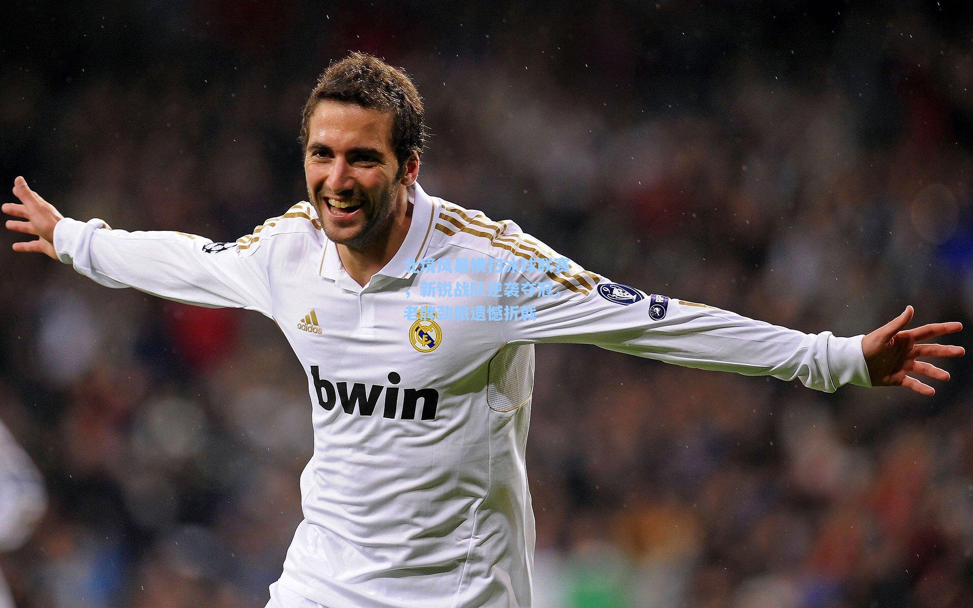 北境风暴横扫冰球联赛,新锐战队逆袭夺冠,老牌劲旅遗憾折戟