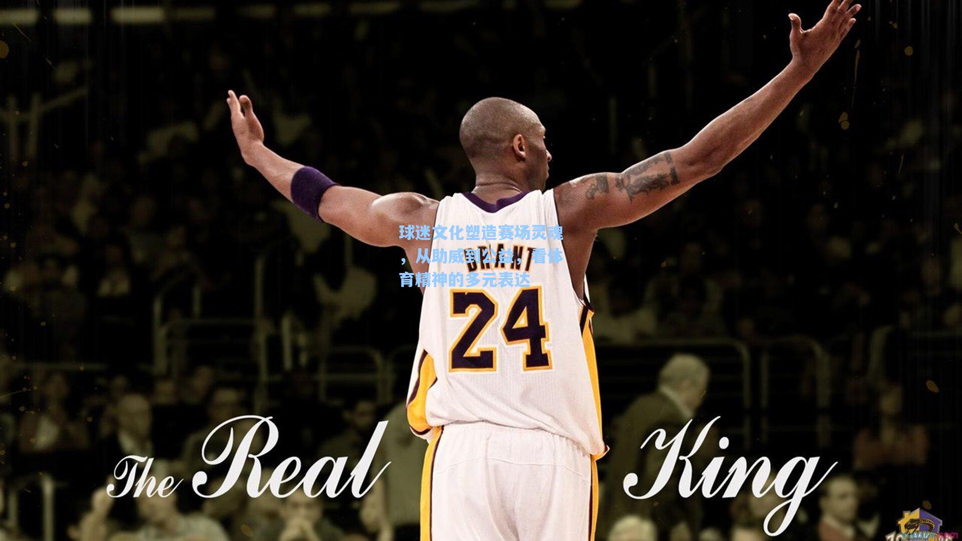 球迷文化塑造赛场灵魂，从助威到公益，看体育精神的多元表达